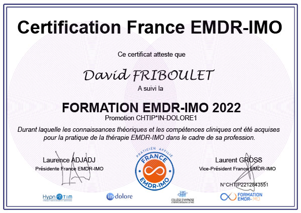 David FRIBOULET David FRIBOULET