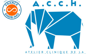 ACCH, Atelier Clinique de la Confusion Hypnotique ACCH, Atelier Clinique de la Confusion Hypnotique
